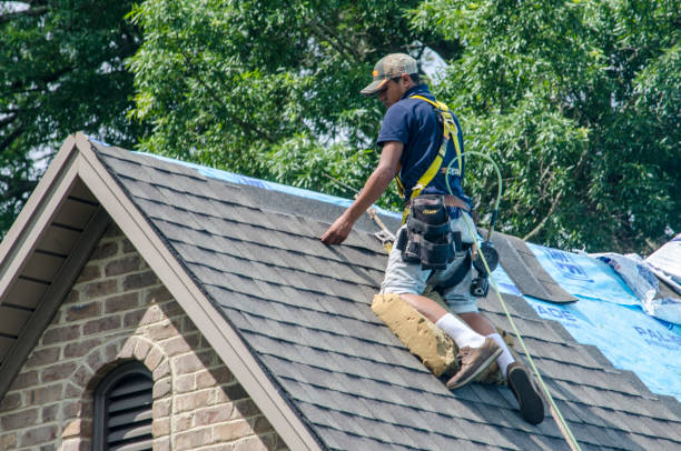 Best Shingle Roofing Installation  in Bolinas, CA
